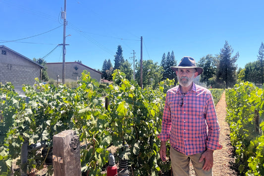大人の時間を彩るマリリン ワイン | 仕入れ担当者が現地で見た風景